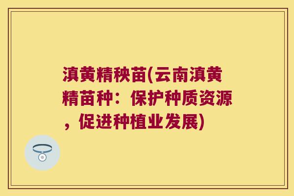 滇黄精秧苗(云南滇黄精苗种：保护种质资源，促进种植业发展)