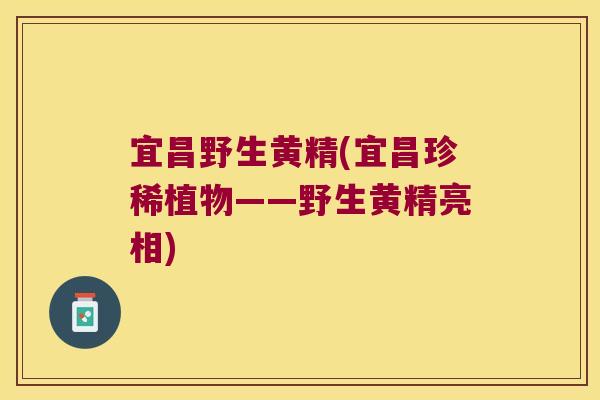 宜昌野生黄精(宜昌珍稀植物——野生黄精亮相)
