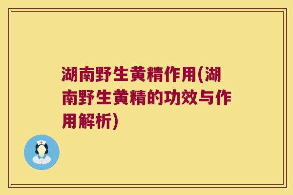 湖南野生黄精作用(湖南野生黄精的功效与作用解析) 湖南野生黄精作用(湖南野生黄精的功效与作用解析)