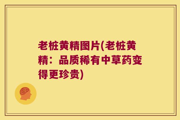 老桩黄精图片(老桩黄精：品质稀有中草药变得更珍贵)