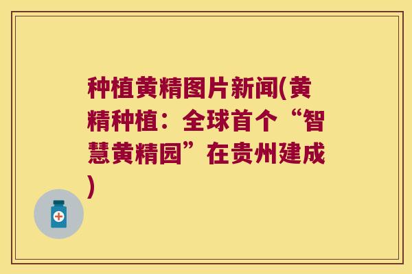 种植黄精图片新闻(黄精种植：全球“智慧黄精园”在贵州建成)