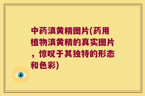 滇黄精图片(药用植物滇黄精的真实图片,惊叹于其独特的形态和色彩) 滇黄精图片(药用植物滇黄精的真实图片,惊叹于其独特的形态和色彩)