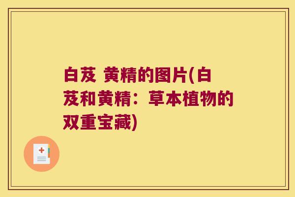 白芨 黄精的图片(白芨和黄精：草本植物的双重宝藏)