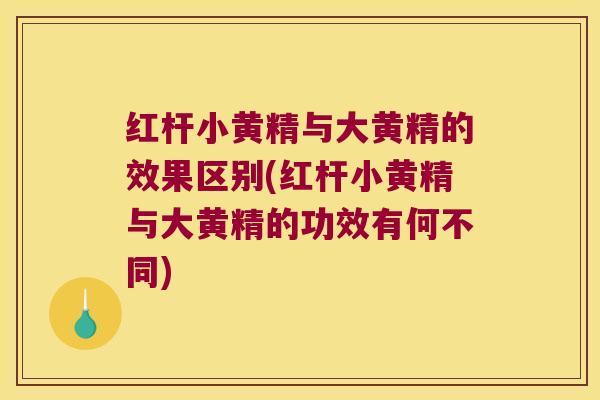 红杆小黄精与大黄精的效果区别(红杆小黄精与大黄精的功效有何不同)