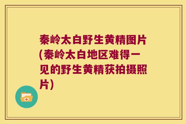 秦岭太白野生黄精图片(秦岭太白地区难得一见的野生黄精获拍摄照片) 秦岭太白野生黄精图片(秦岭太白地区难得一见的野生黄精获拍摄照片)