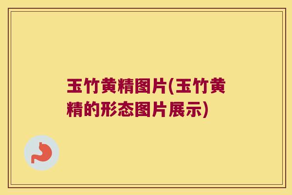 玉竹黄精图片(玉竹黄精的形态图片展示)
