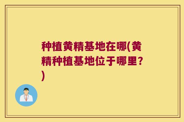 种植黄精基地在哪(黄精种植基地位于哪里？)