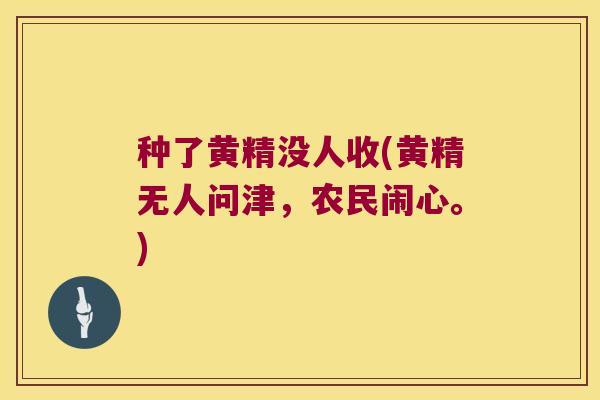 种了黄精没人收(黄精无人问津,农民闹心。) 种了黄精没人收(黄精无人问津,农民闹心。)