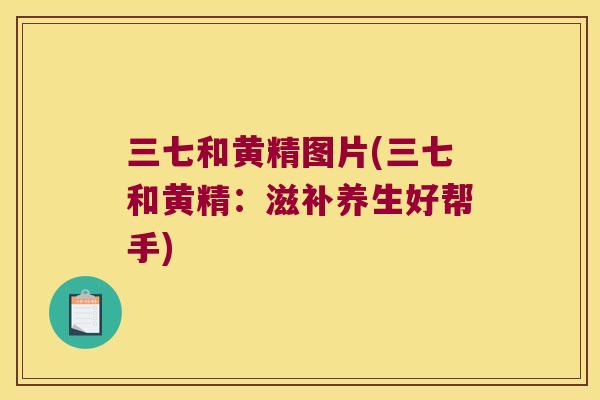 三七和黄精图片(三七和黄精：滋补养生好帮手)