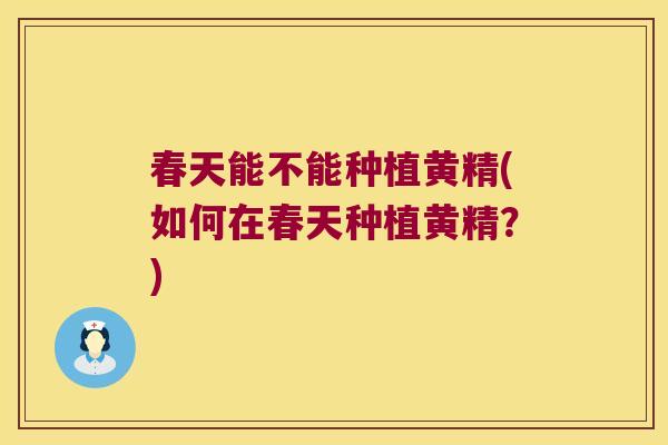 春天能不能种植黄精(如何在春天种植黄精?) 春天能不能种植黄精(如何在春天种植黄精?)