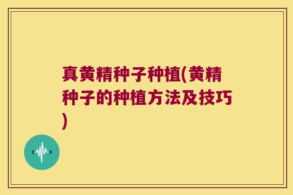 真黄精种子种植(黄精种子的种植方法及技巧) 真黄精种子种植(黄精种子的种植方法及技巧)