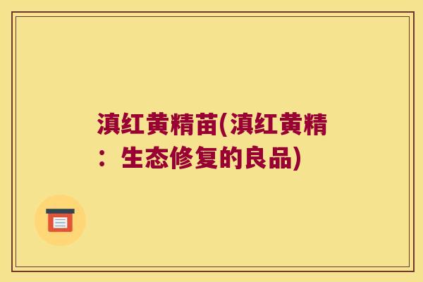 滇红黄精苗(滇红黄精:生态修复的良品) 滇红黄精苗(滇红黄精:生态修复的良品)