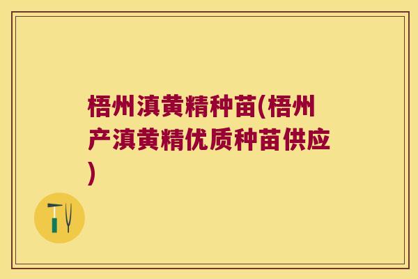 梧州滇黄精种苗(梧州产滇黄精优质种苗供应)