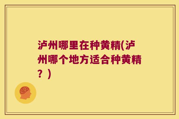 泸州哪里在种黄精(泸州哪个地方适合种黄精？)