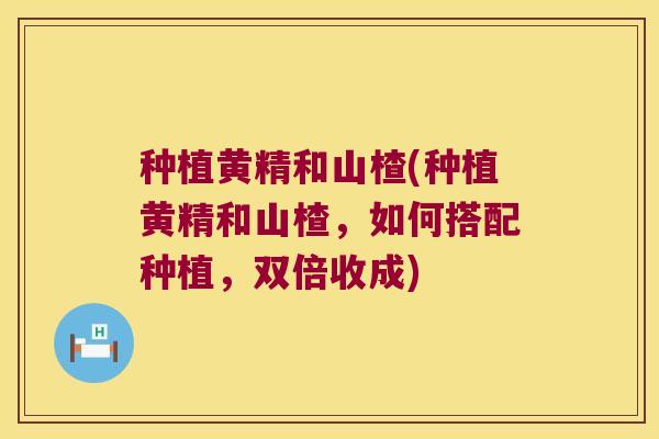 种植黄精和山楂(种植黄精和山楂,如何搭配种植,双倍收成) 种植黄精和山楂(种植黄精和山楂,如何搭配种植,双倍收成)