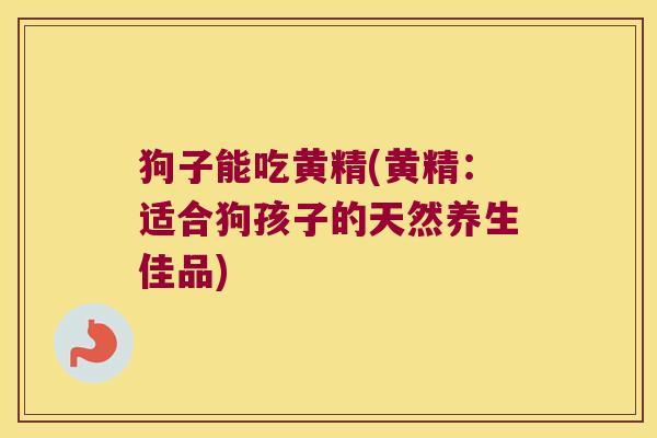 狗子能吃黄精(黄精：适合狗孩子的天然养生佳品)