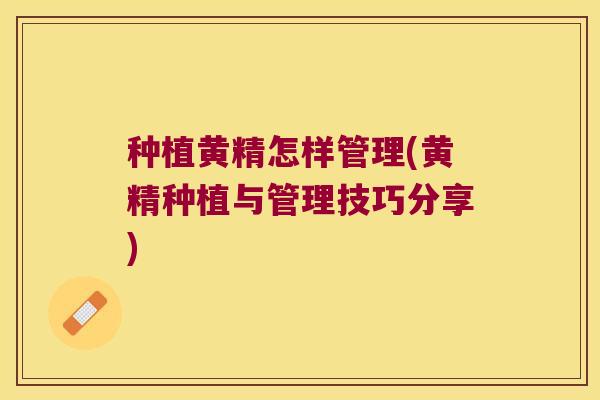 种植黄精怎样管理(黄精种植与管理技巧分享) 种植黄精怎样管理(黄精种植与管理技巧分享)