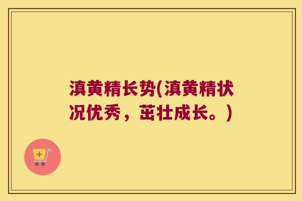 滇黄精长势(滇黄精状况优秀，茁壮成长。)