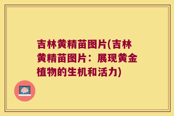 吉林黄精苗图片(吉林黄精苗图片：展现黄金植物的生机和活力)