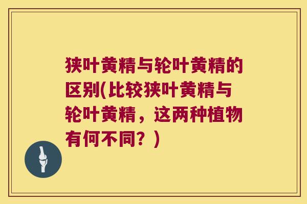 狭叶黄精与轮叶黄精的区别(比较狭叶黄精与轮叶黄精，这两种植物有何不同？)