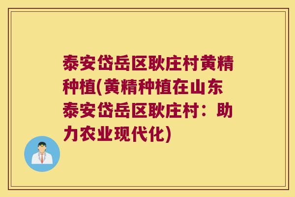 泰安岱岳区耿庄村黄精种植(黄精种植在山东泰安岱岳区耿庄村:助力农业现代化) 泰安岱岳区耿庄村黄精种植(黄精种植在山东泰安岱岳区耿庄村:助力农业现代化)