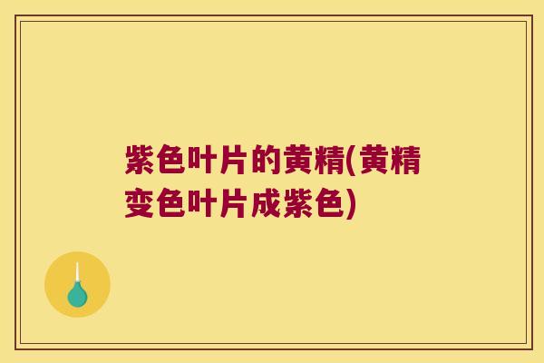 紫色叶片的黄精(黄精变色叶片成紫色) 紫色叶片的黄精(黄精变色叶片成紫色)