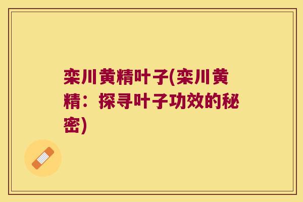 栾川黄精叶子(栾川黄精：探寻叶子功效的秘密)