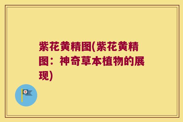 紫花黄精图(紫花黄精图:神奇草本植物的展现) 紫花黄精图(紫花黄精图:神奇草本植物的展现)