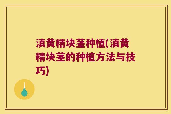 滇黄精块茎种植(滇黄精块茎的种植方法与技巧)