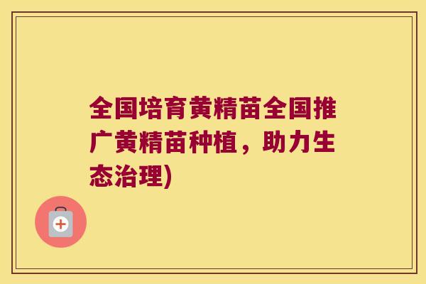全国培育黄精苗全国推广黄精苗种植,助力生态理) 全国培育黄精苗全国推广黄精苗种植,助力生态理)