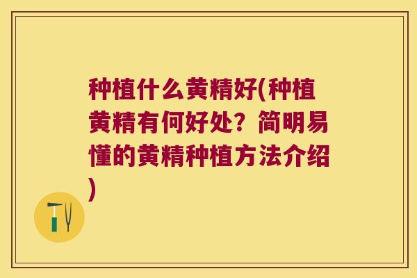 种植什么黄精好(种植黄精有何好处?简明易懂的黄精种植方法介绍) 种植什么黄精好(种植黄精有何好处?简明易懂的黄精种植方法介绍)