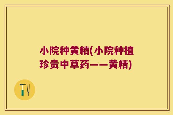 小院种黄精(小院种植珍贵中草药——黄精)