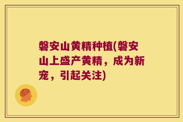 磐安山黄精种植(磐安山上盛产黄精,成为新宠,引起关注) 磐安山黄精种植(磐安山上盛产黄精,成为新宠,引起关注)