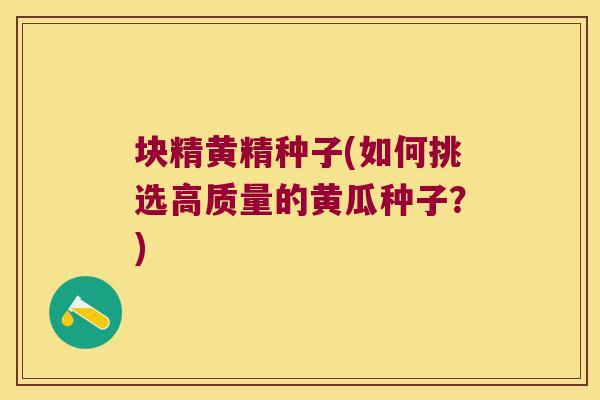 块精黄精种子(如何挑选高质量的黄瓜种子？)