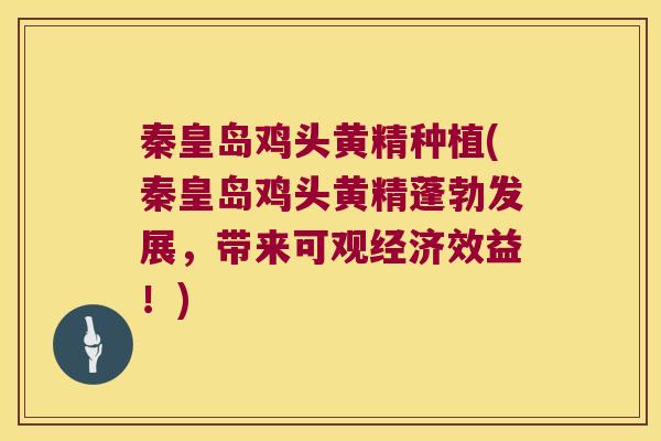 秦皇岛鸡头黄精种植(秦皇岛鸡头黄精蓬勃发展，带来可观经济效益！)