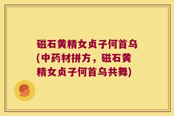 磁石黄精女贞子何首乌(材拼方,磁石黄精女贞子何首乌共舞) 磁石黄精女贞子何首乌(材拼方,磁石黄精女贞子何首乌共舞)