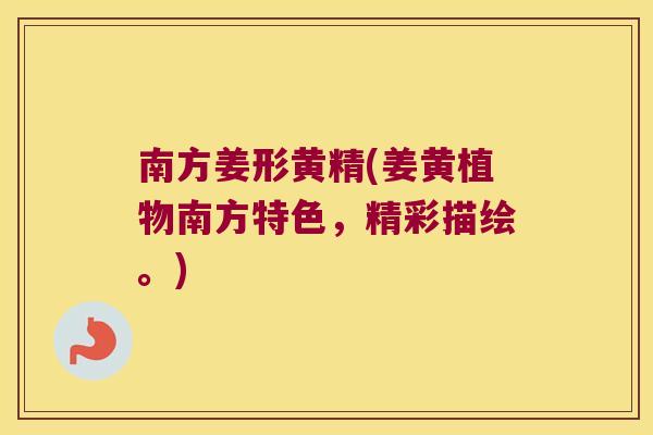 南方姜形黄精(姜黄植物南方特色,精彩描绘。) 南方姜形黄精(姜黄植物南方特色,精彩描绘。)