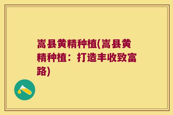 嵩县黄精种植(嵩县黄精种植：打造丰收致富路)