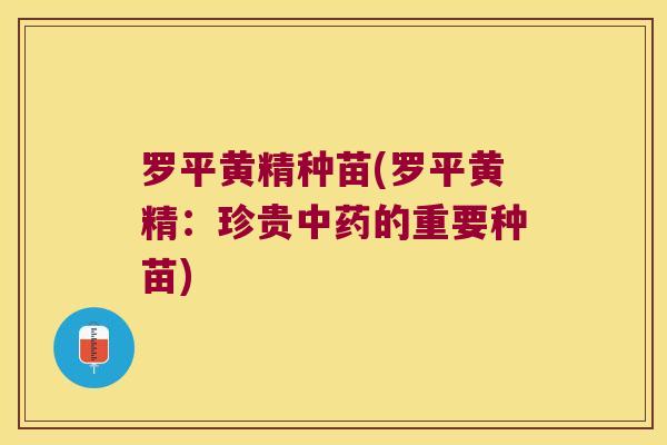 罗平黄精种苗(罗平黄精:珍贵的重要种苗) 罗平黄精种苗(罗平黄精:珍贵的重要种苗)