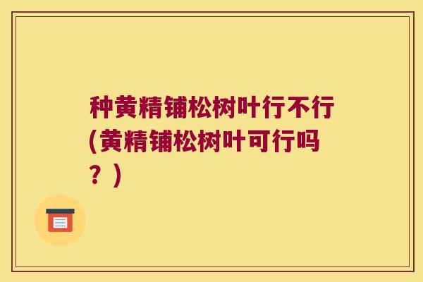种黄精铺松树叶行不行(黄精铺松树叶可行吗？)