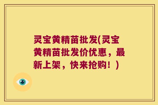 灵宝黄精苗批发(灵宝黄精苗批发价优惠,新上架,快来抢购!) 灵宝黄精苗批发(灵宝黄精苗批发价优惠,新上架,快来抢购!)
