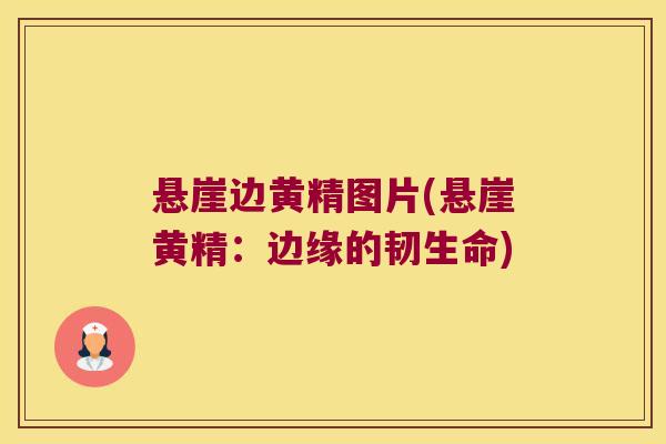 悬崖边黄精图片(悬崖黄精：边缘的韧生命)