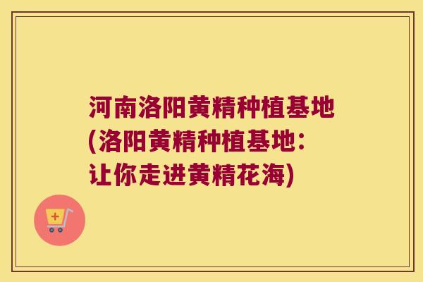 河南洛阳黄精种植基地(洛阳黄精种植基地：让你走进黄精花海)