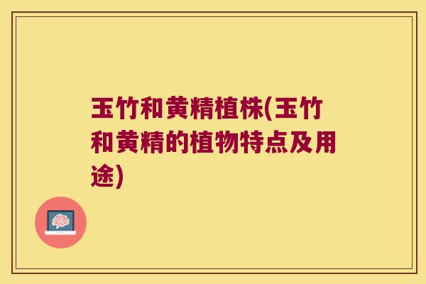 玉竹和黄精植株(玉竹和黄精的植物特点及用途)