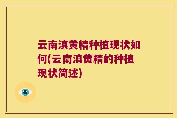云南滇黄精种植现状如何(云南滇黄精的种植现状简述)