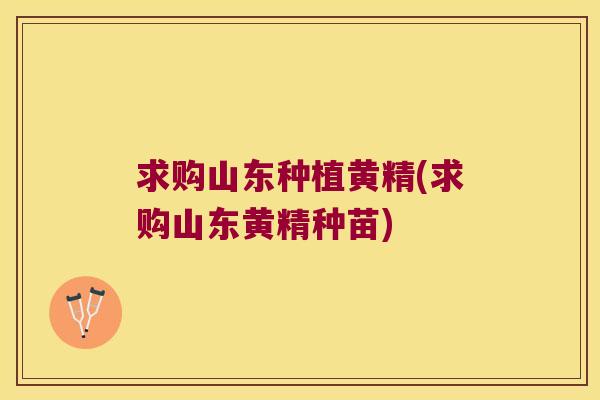求购山东种植黄精(求购山东黄精种苗)