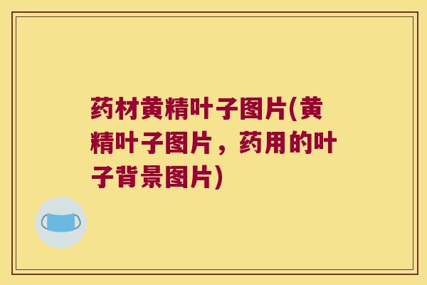 药材黄精叶子图片(黄精叶子图片，药用的叶子背景图片)