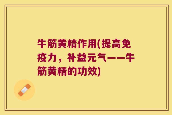 牛筋黄精作用(提高力，补益元气——牛筋黄精的功效)
