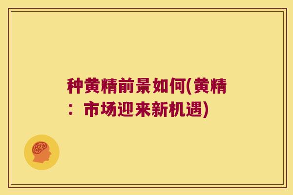 种黄精前景如何(黄精：市场迎来新机遇)