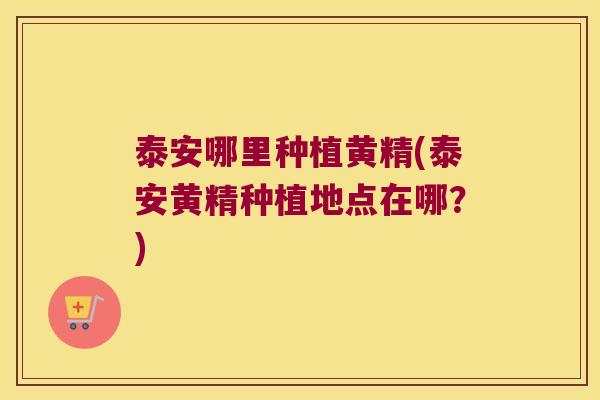 泰安哪里种植黄精(泰安黄精种植地点在哪？)